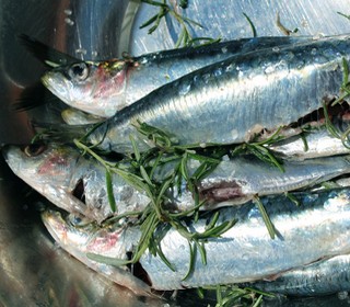 sardines et romarin